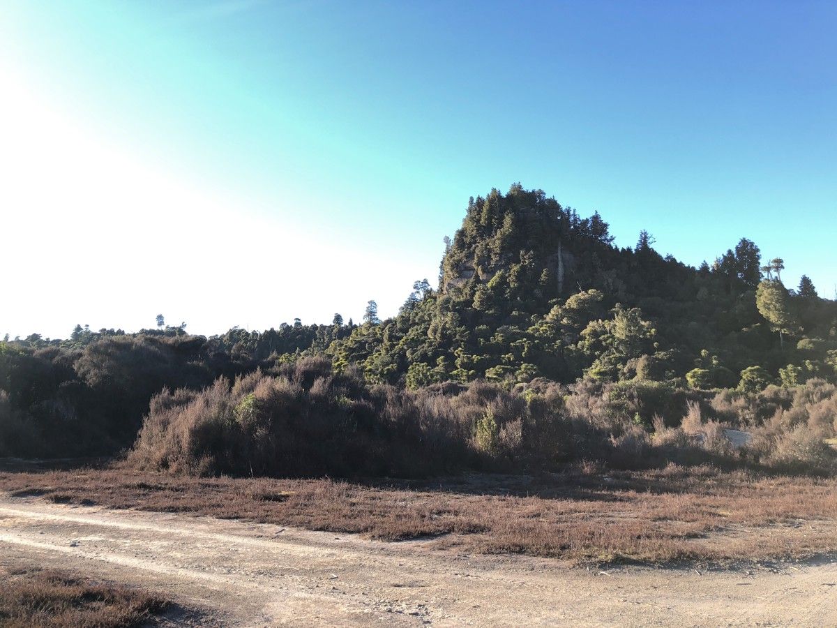 Pokaka Mill Campsite image 3