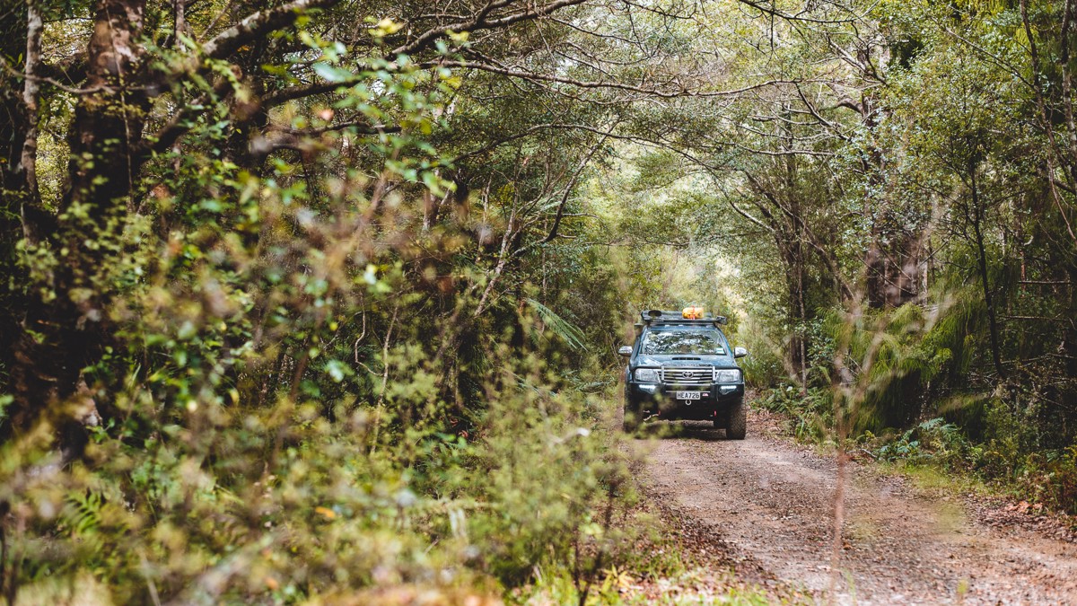 Otipi Road image 2