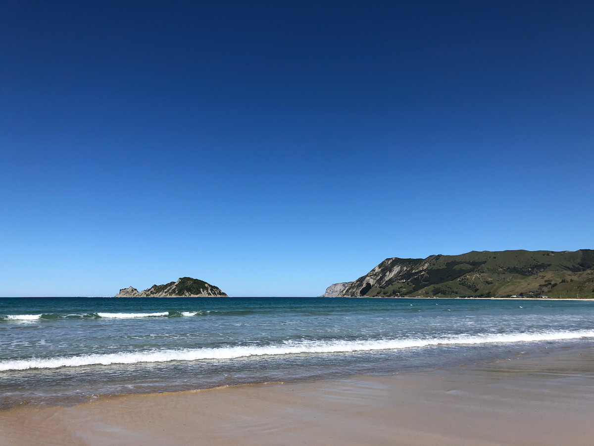 Anaura Bay image 3