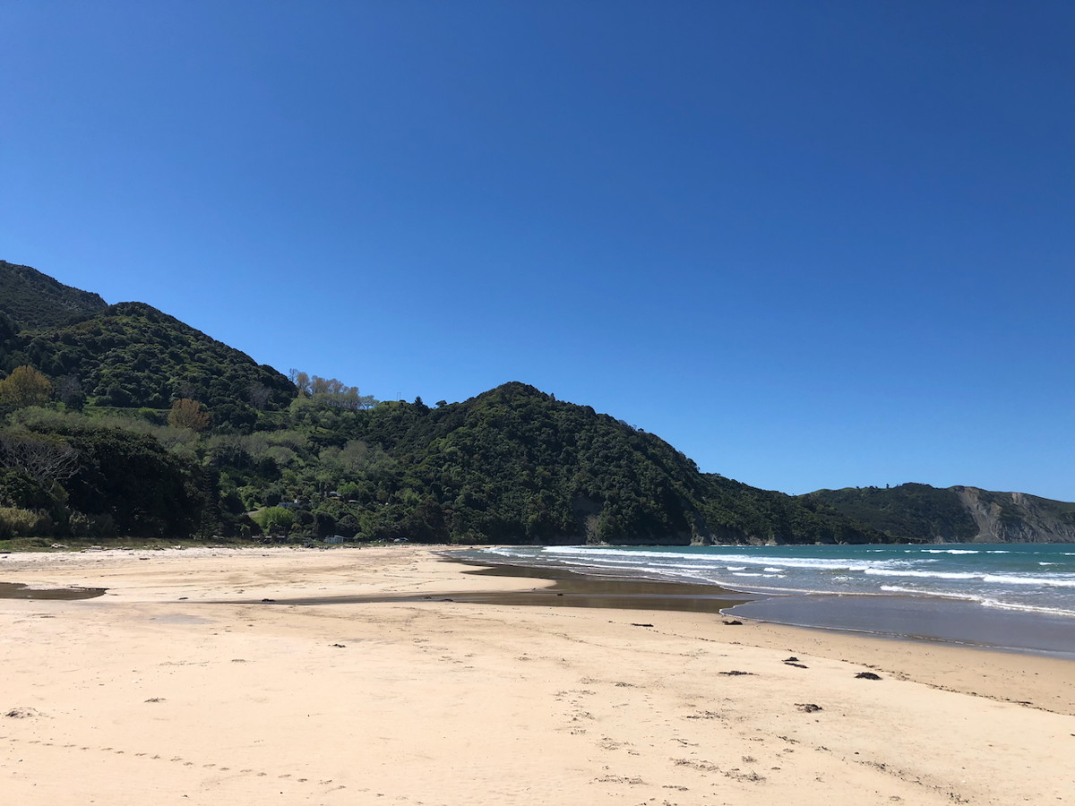 Anaura Bay image 2