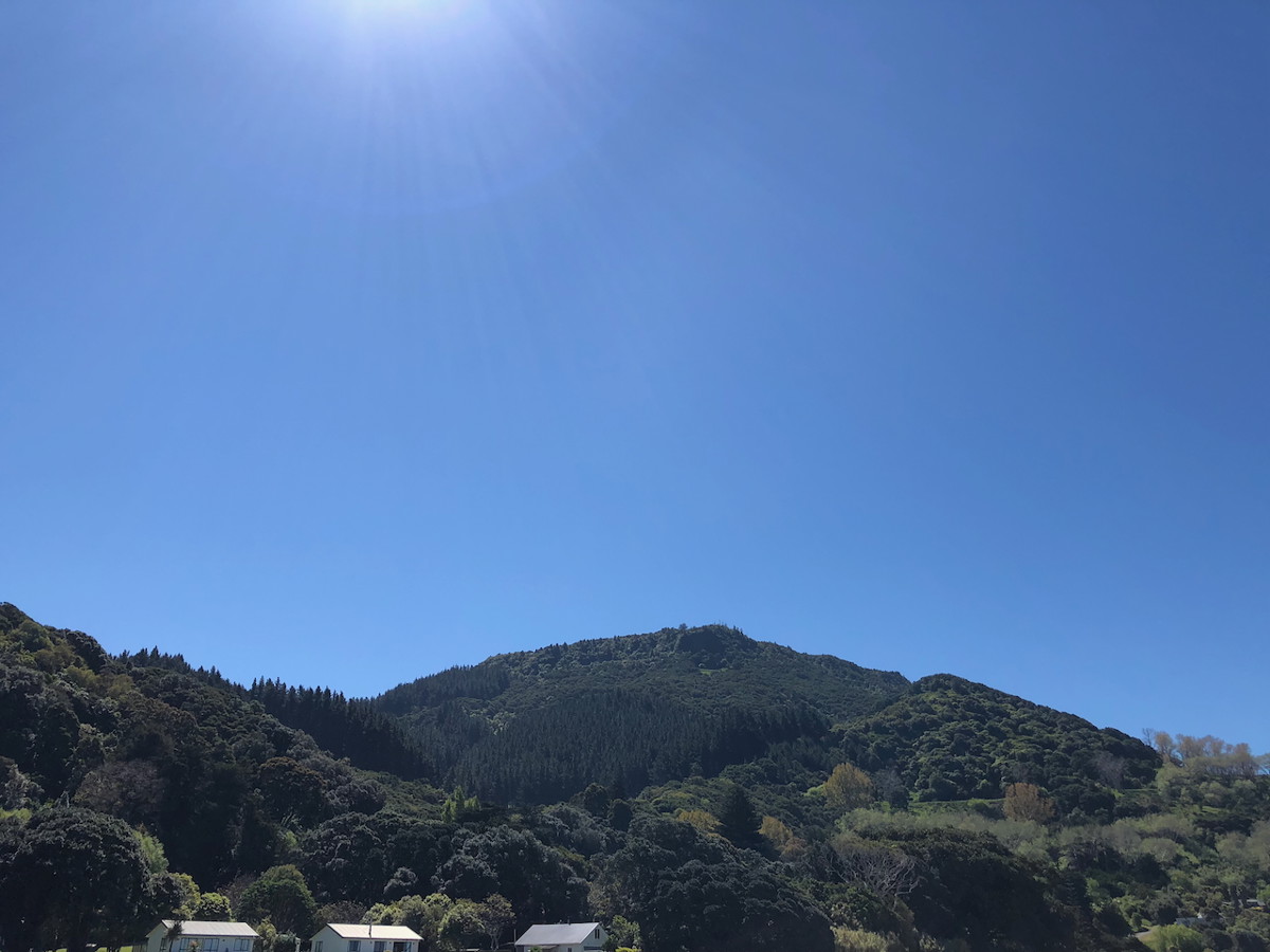 Anaura Bay image 1