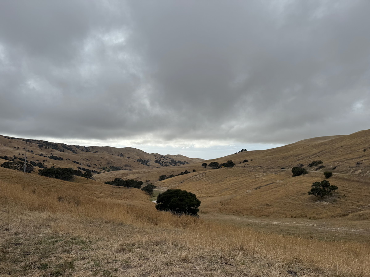 Redwood Pass image 1