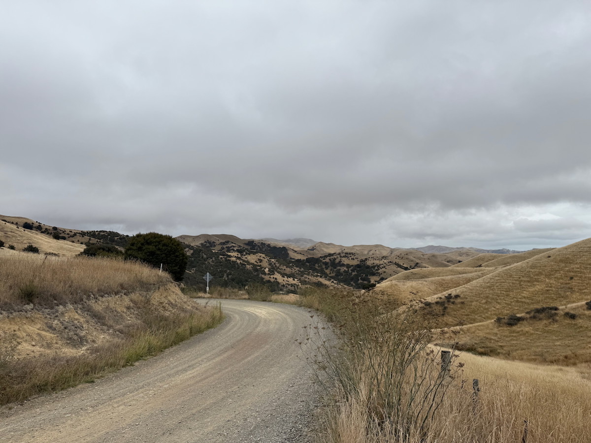 Redwood Pass image 2