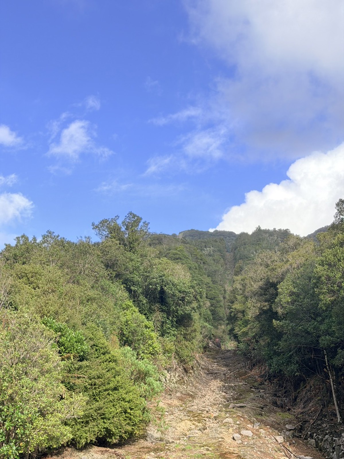 Conns Creek image 1