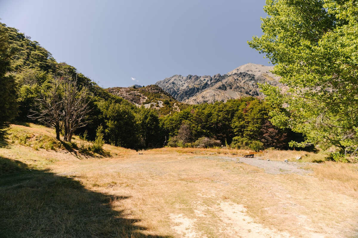 Coldwater Stream Campsite image 2