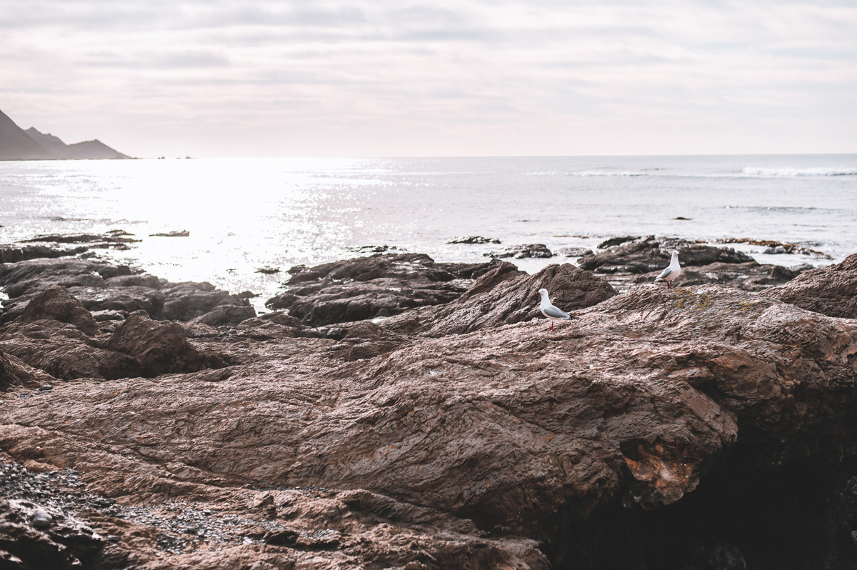 Tora Settlement Campsite image 1