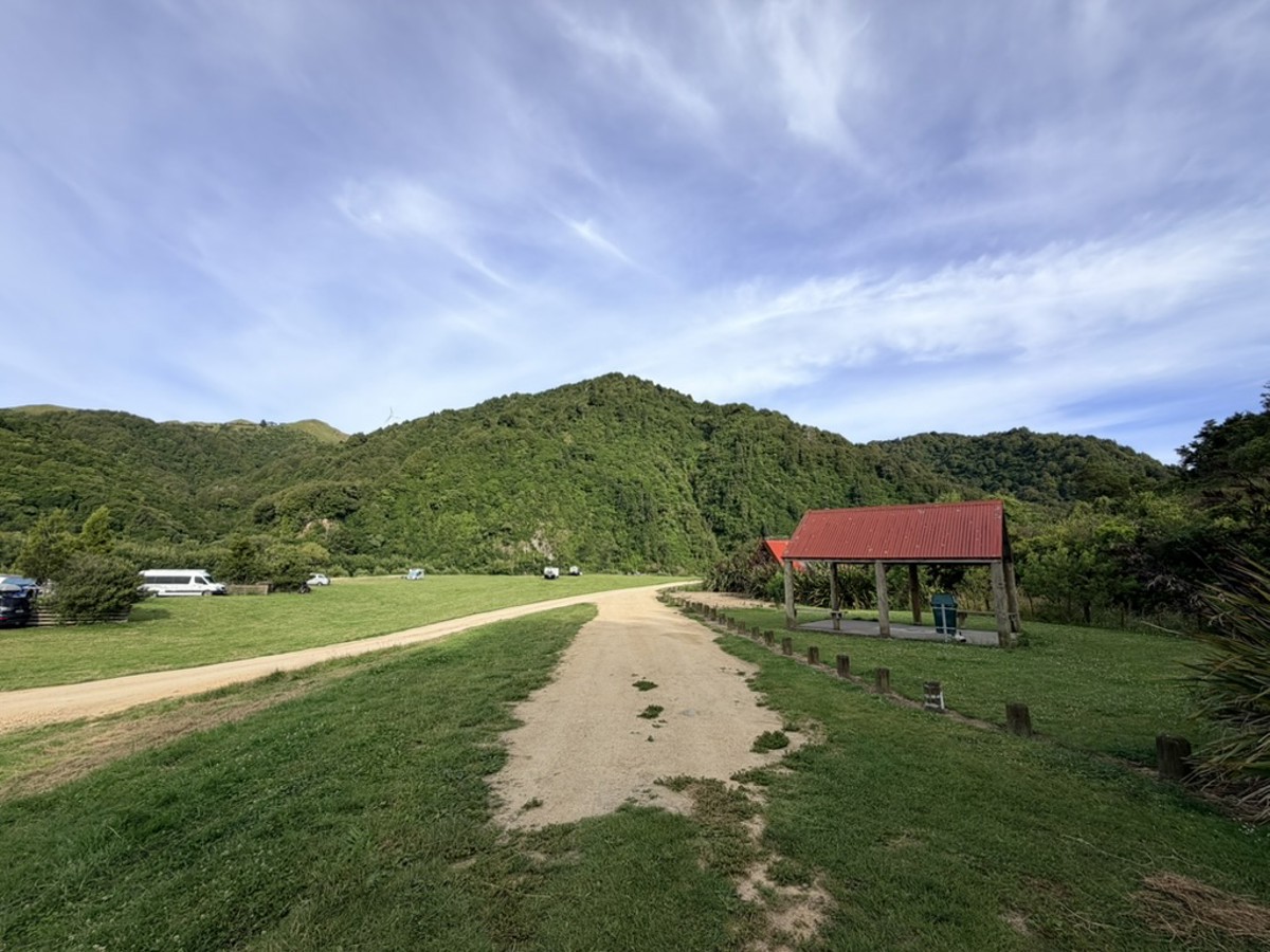 Woodville Ferry Reserve image 4