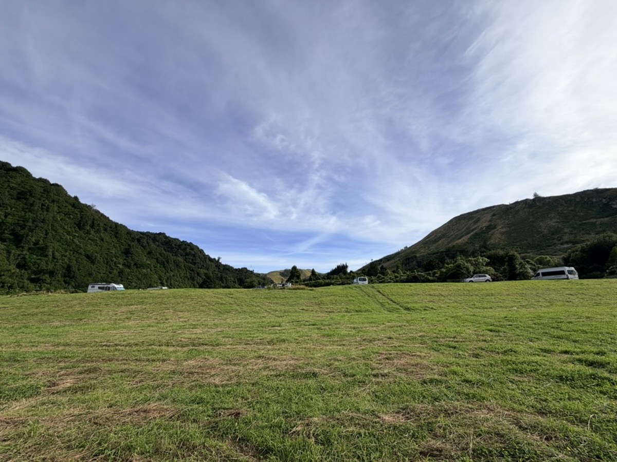 Woodville Ferry Reserve image 5