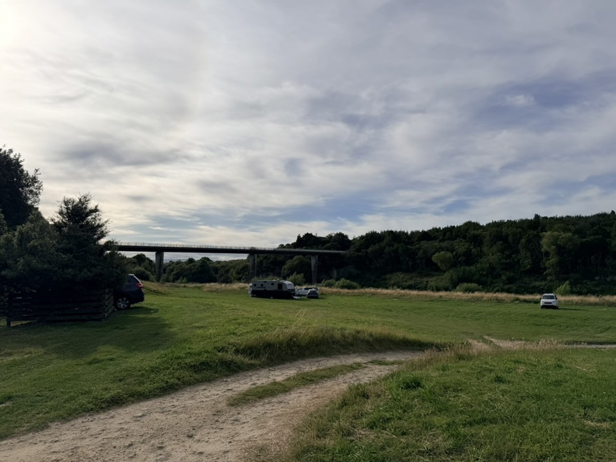 Woodville Ferry Reserve image 1