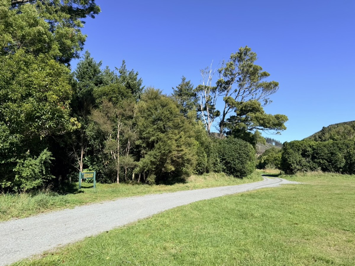 Catchpool Valley Campsite image 1