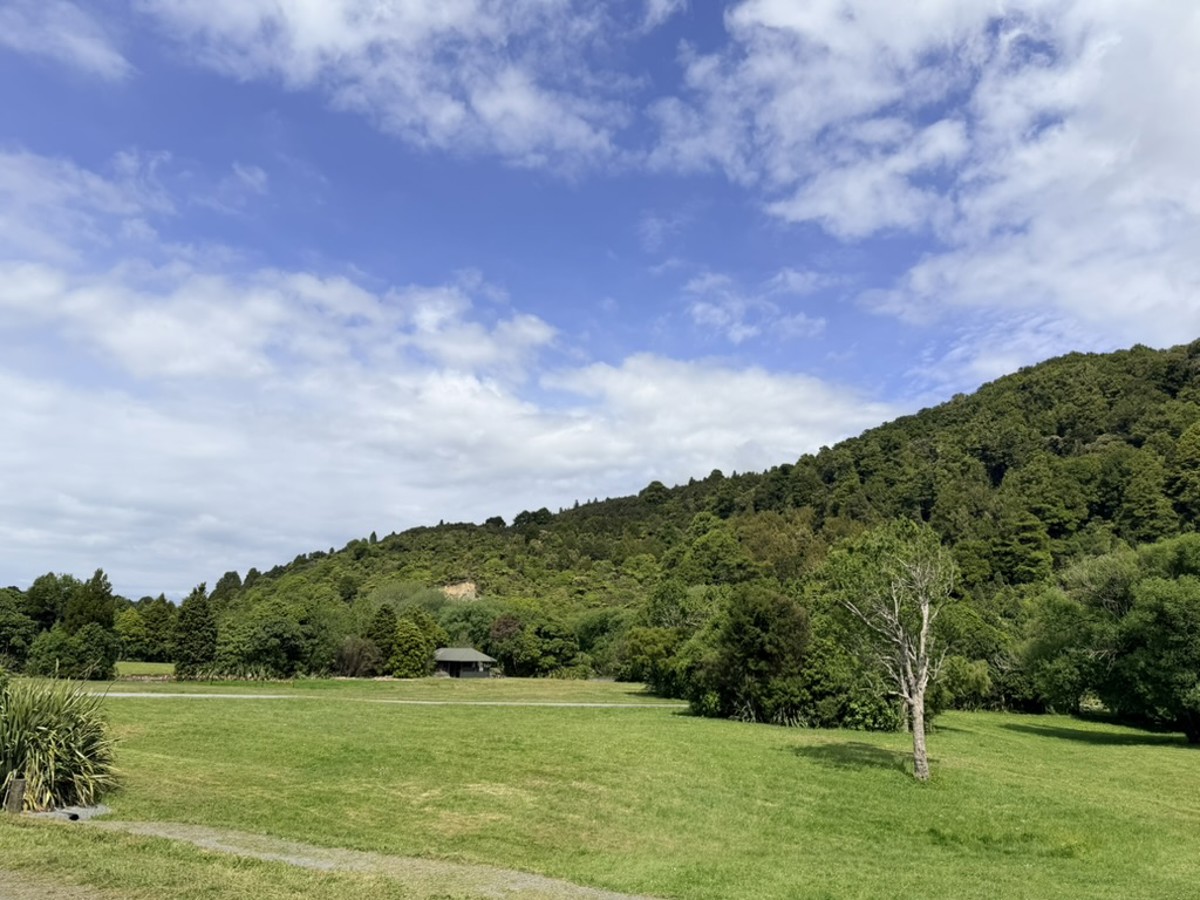 Kaitoke Campground image 7