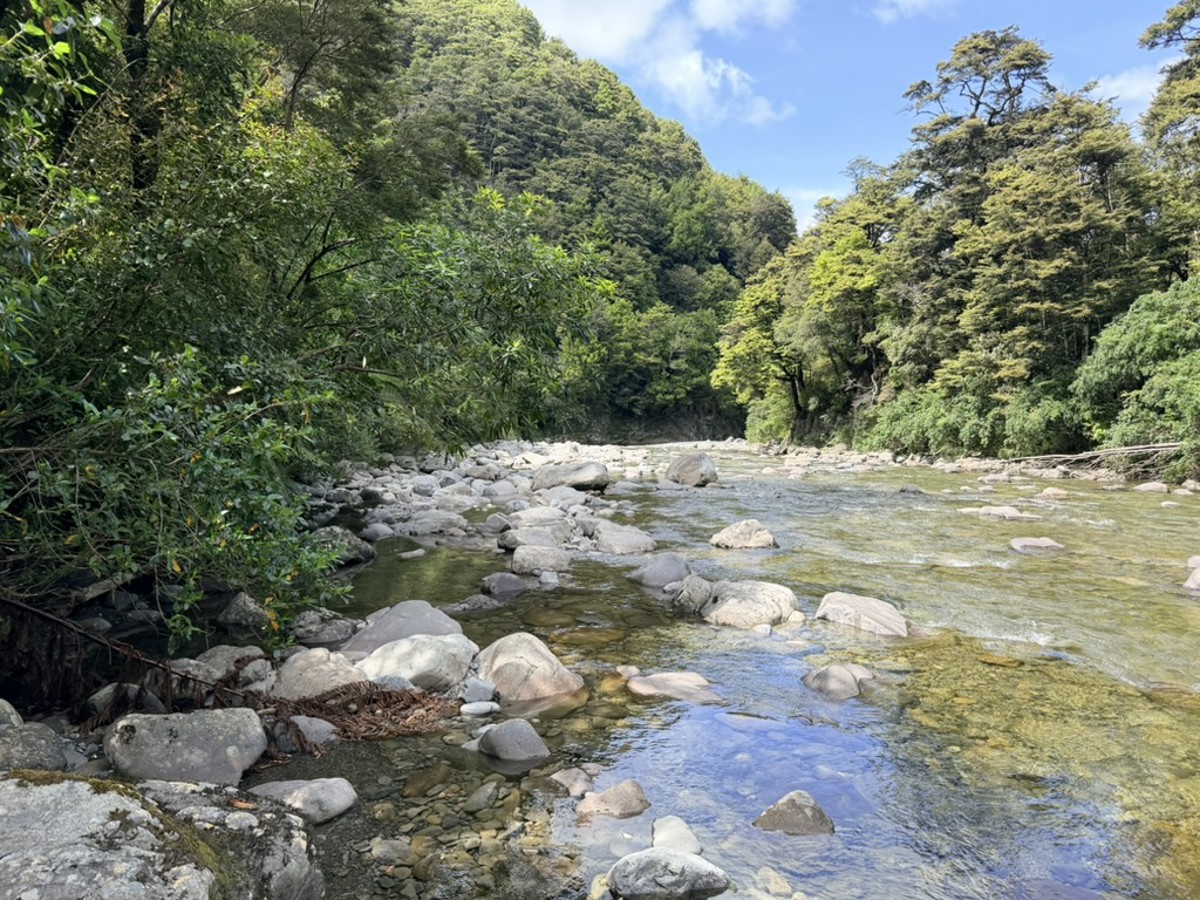 Kaitoke Campground image 1