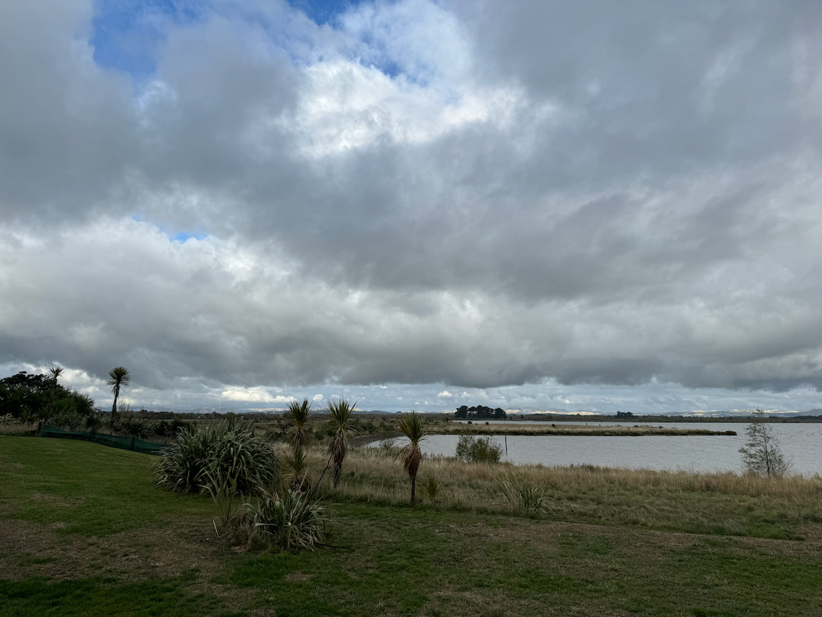 Lake Domain Reserve image 1