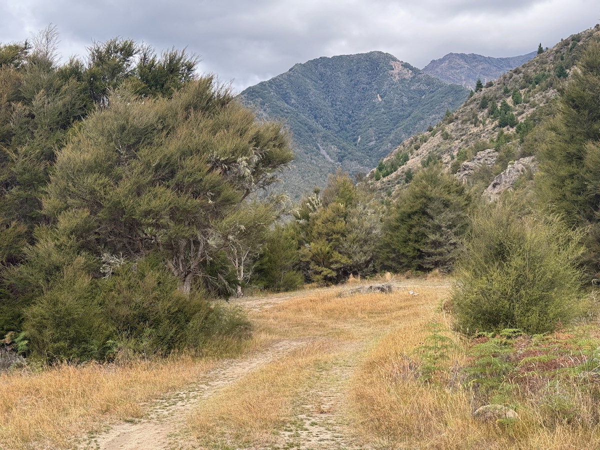 Offgrid campsite image 1