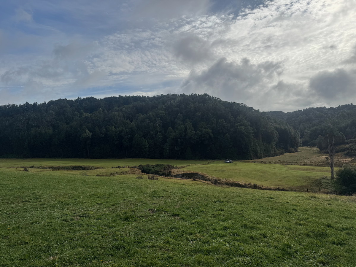 Napoleon Hill Campsite image 4