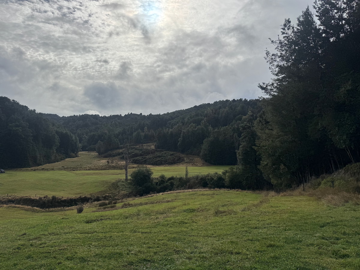 Napoleon Hill Campsite image 2