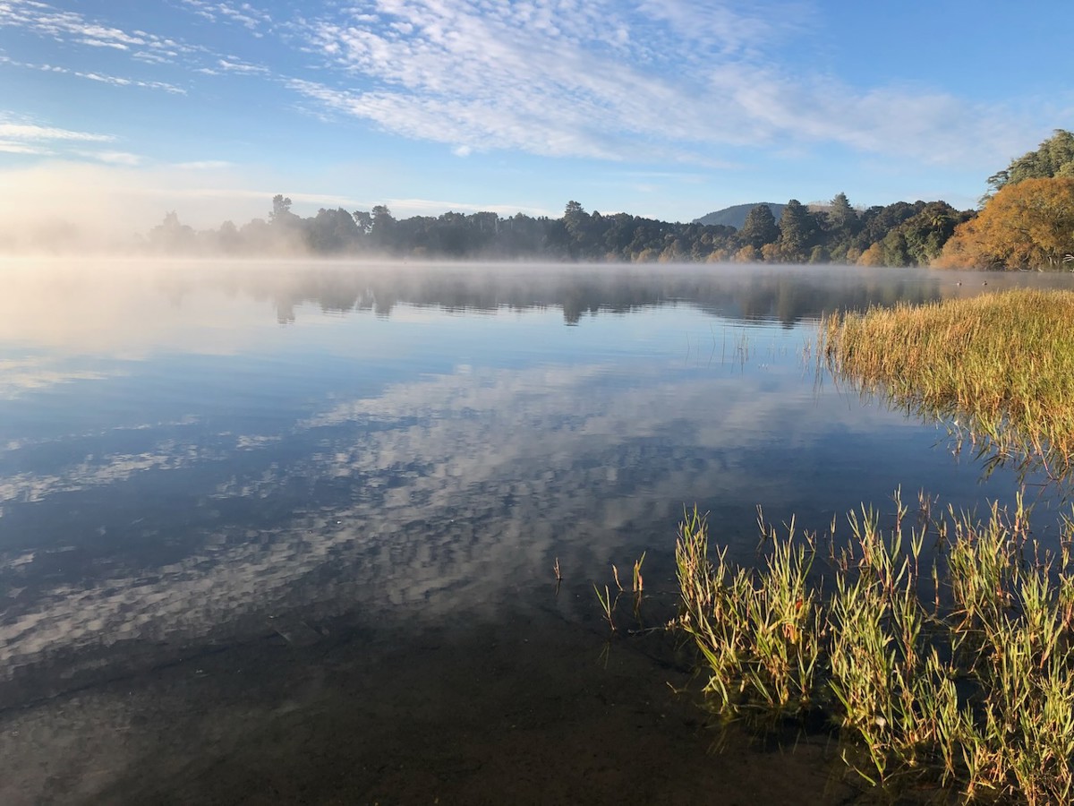 Lake Ōkaro image 3