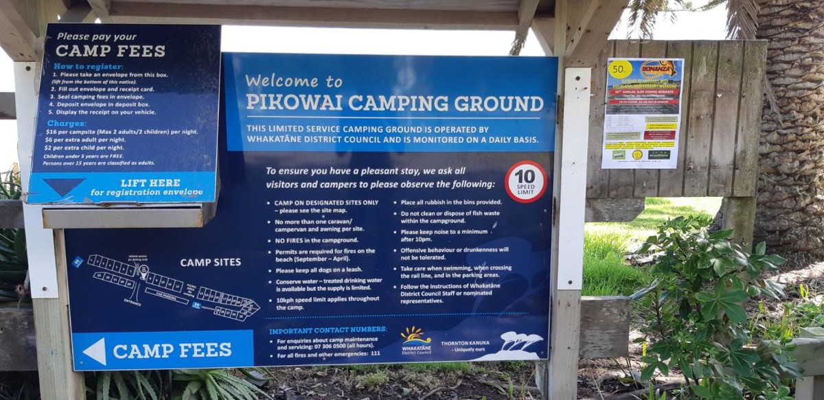 Pikowai Campground image 3