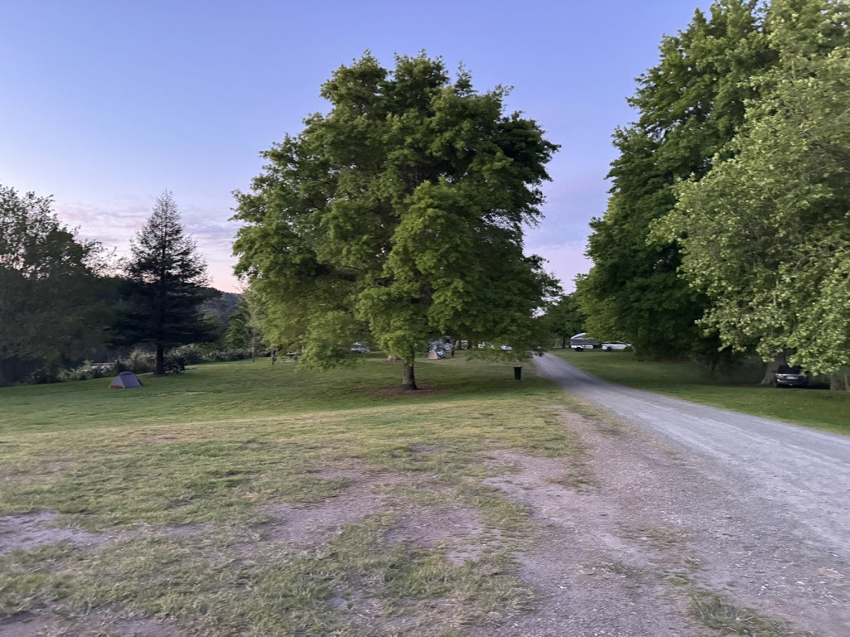 Little Waipa Reserve image 1