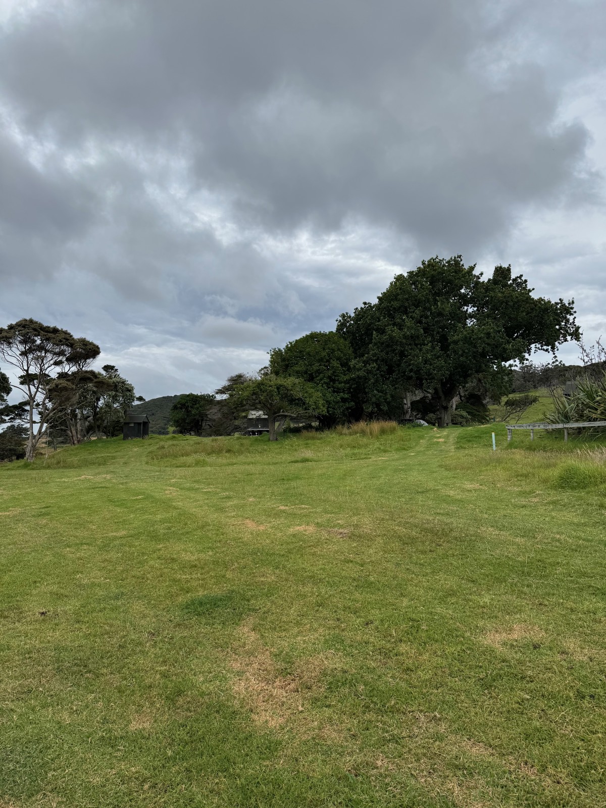 Harataonga Campsite image 6