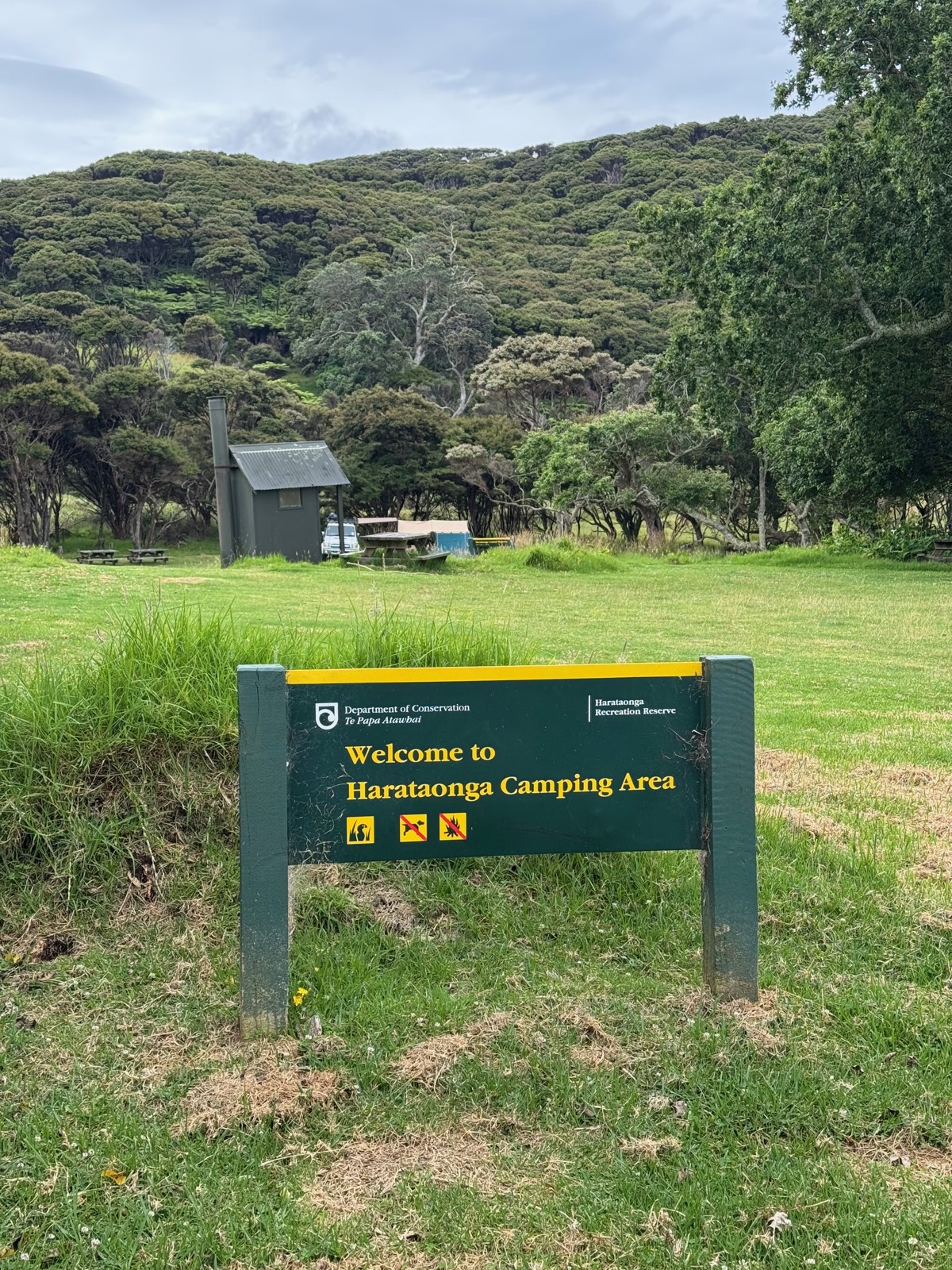 Harataonga Campsite image 7
