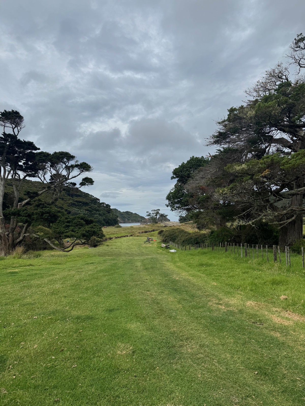Harataonga Campsite image 4