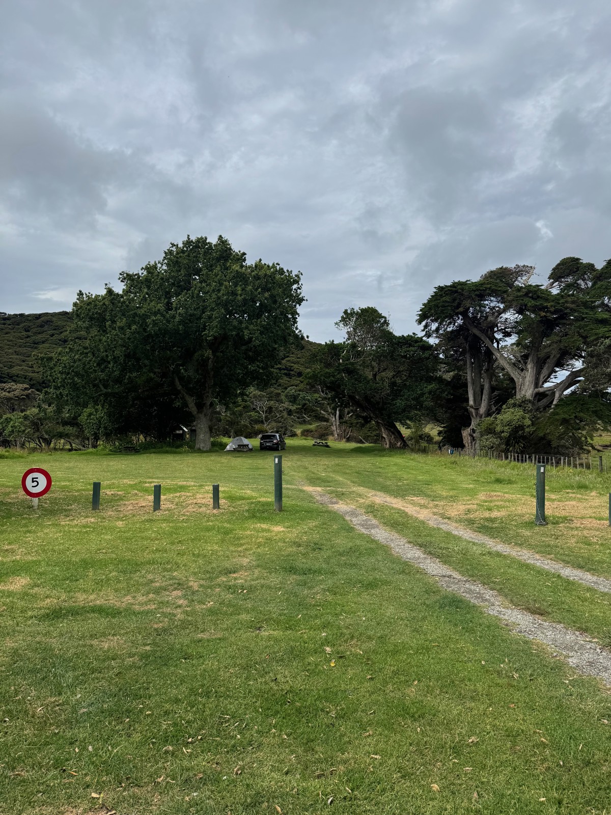Harataonga Campsite image 1