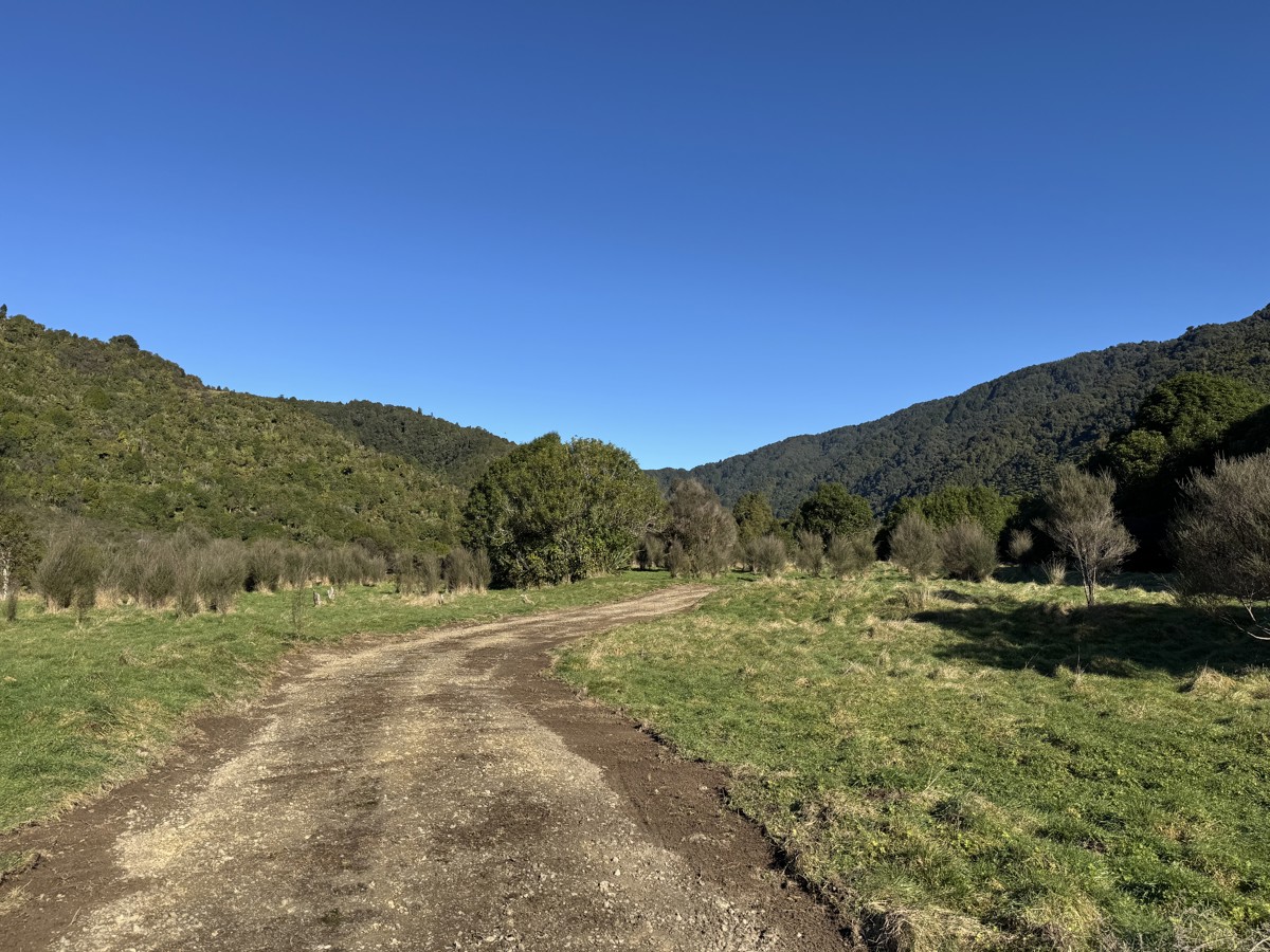 Otaki Forks Campsite image 5