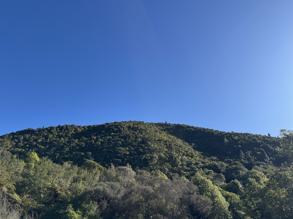 Otaki Forks Campsite image 1
