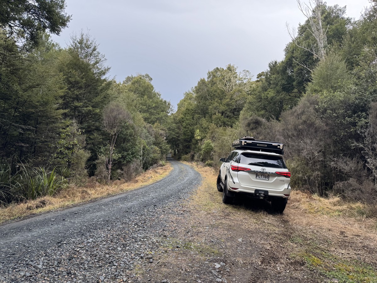 Rangatua Forest image 3