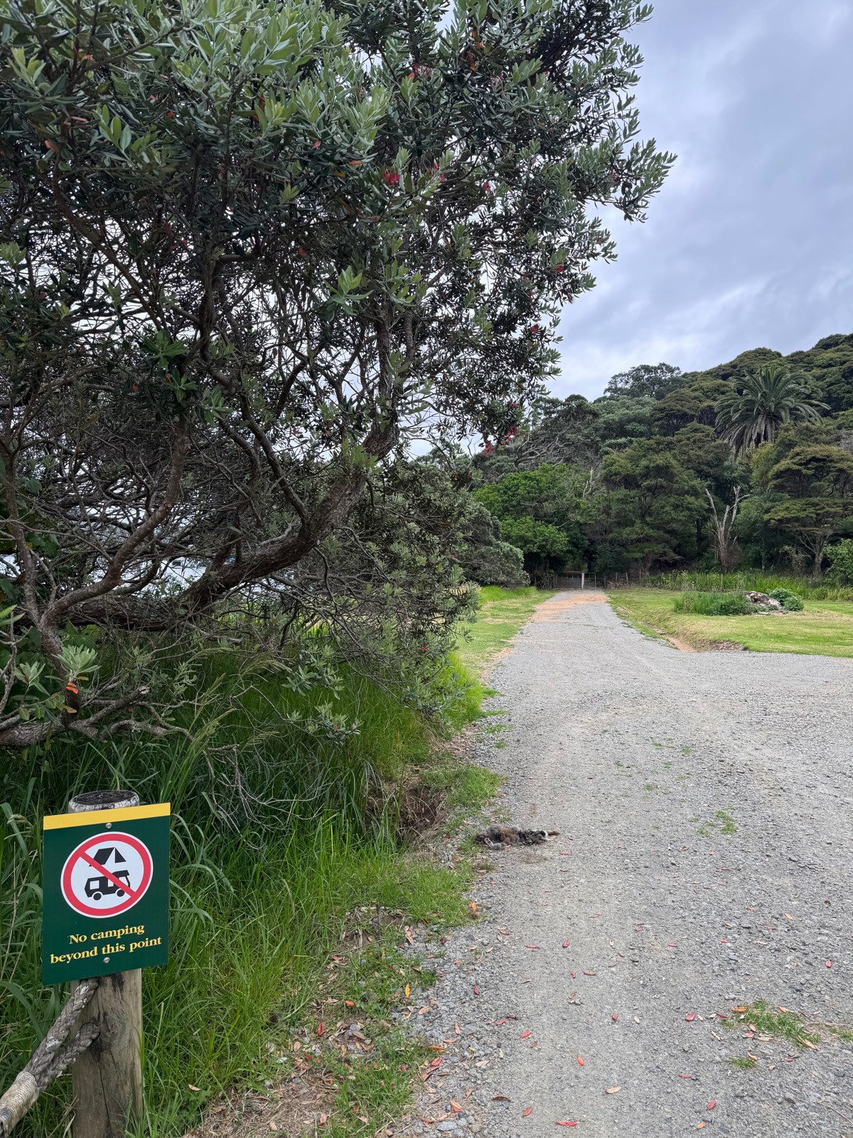 Akapoua Bay Campsite image 1