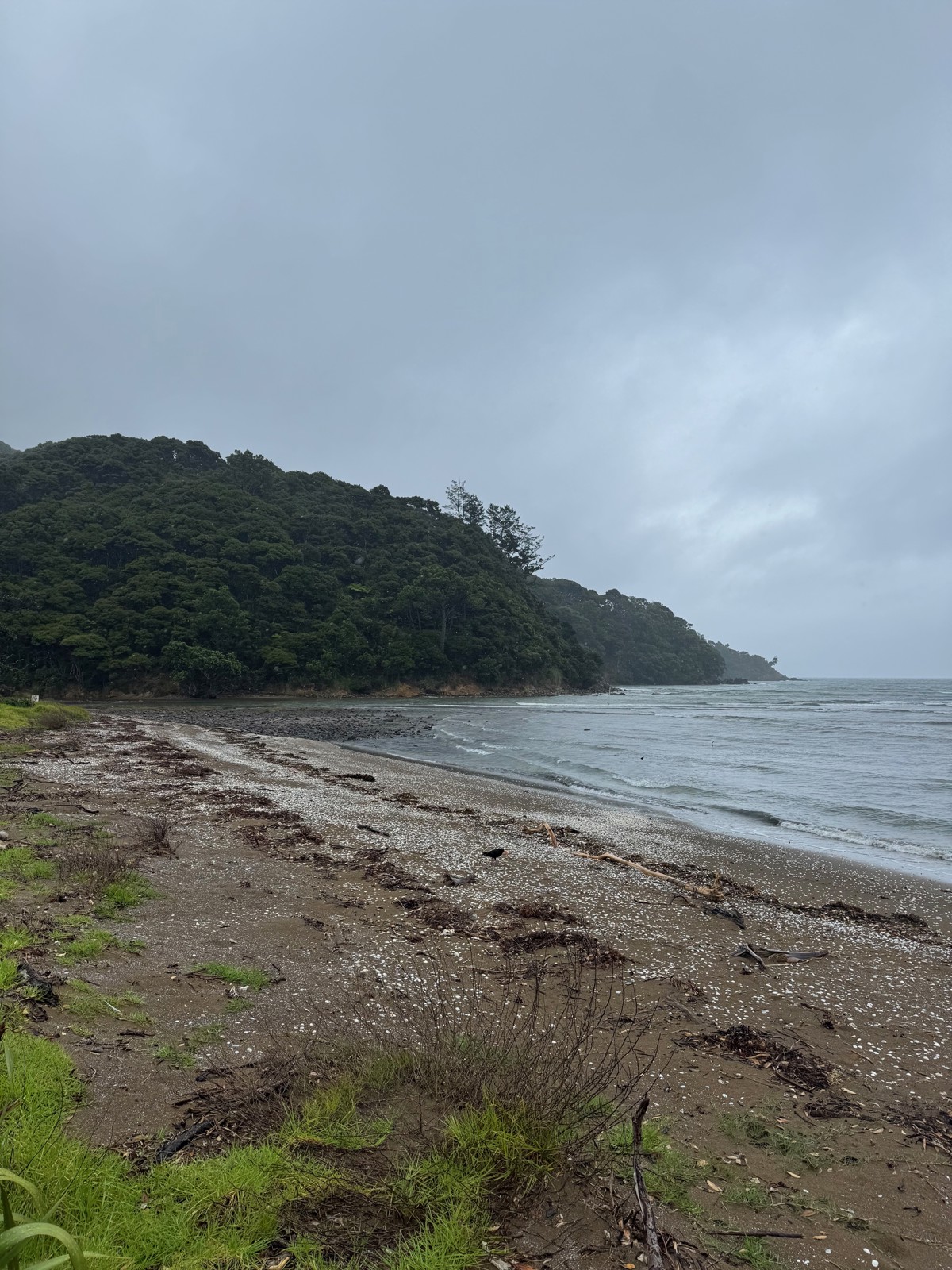 Kawa Road image 4