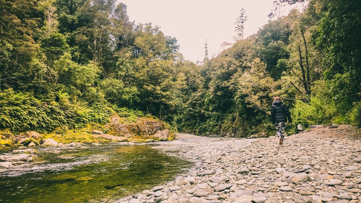Butchers Flat Campsite image 1