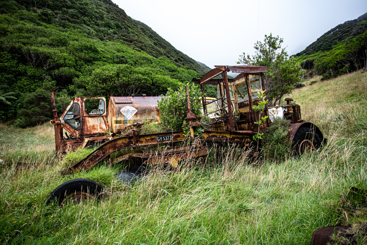 Moawhitu Campsite image 1