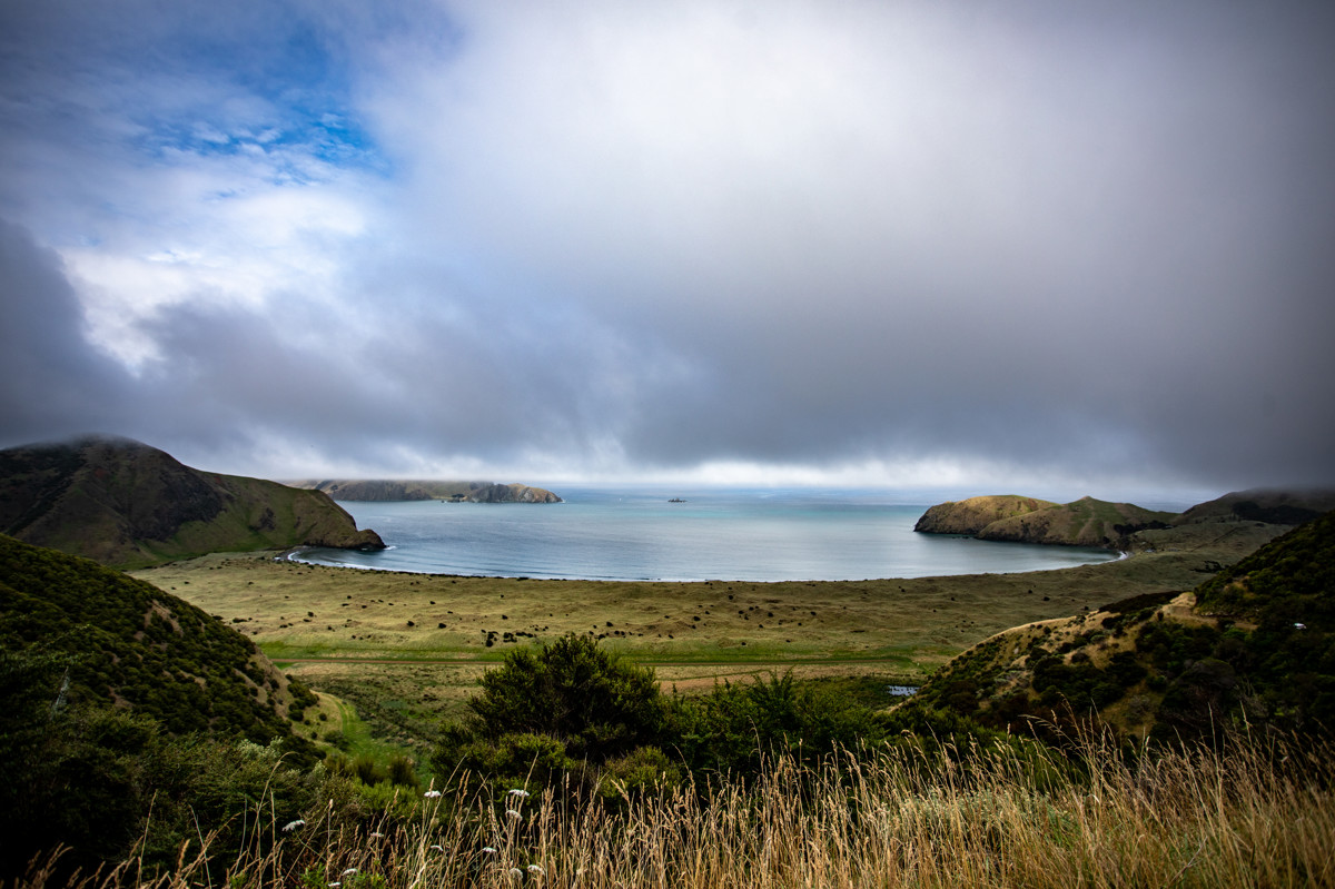 Moawhitu Campsite image 2