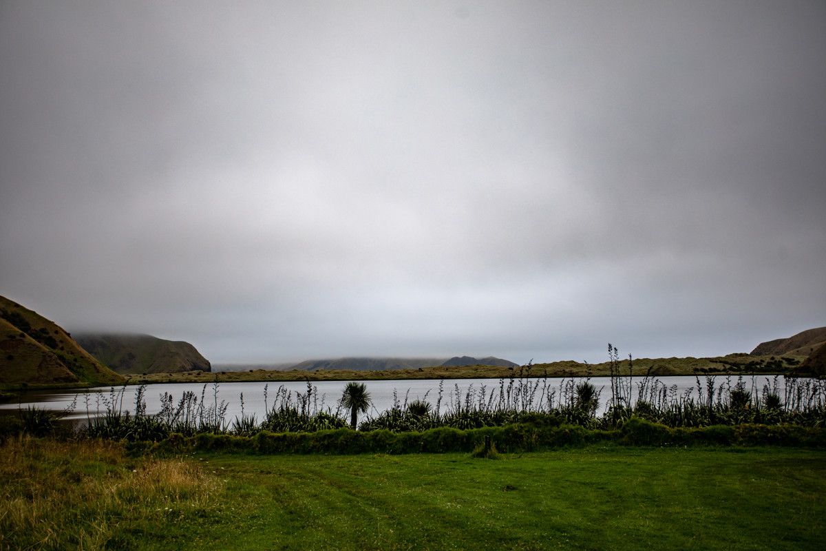 Moawhitu Campsite image 4