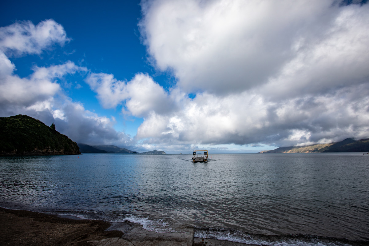 D'Urville Island - Main Road image 4