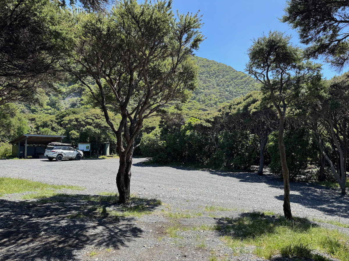 Corner Creek Campsite image 4