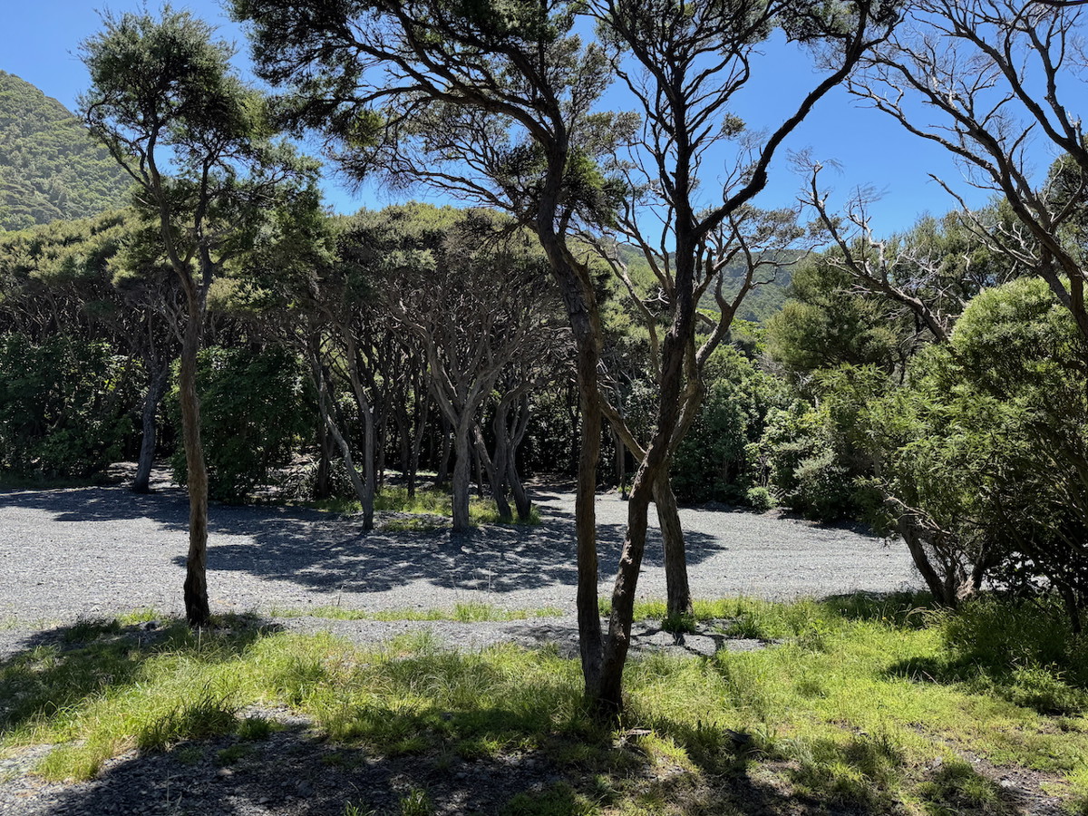 Corner Creek Campsite image 3