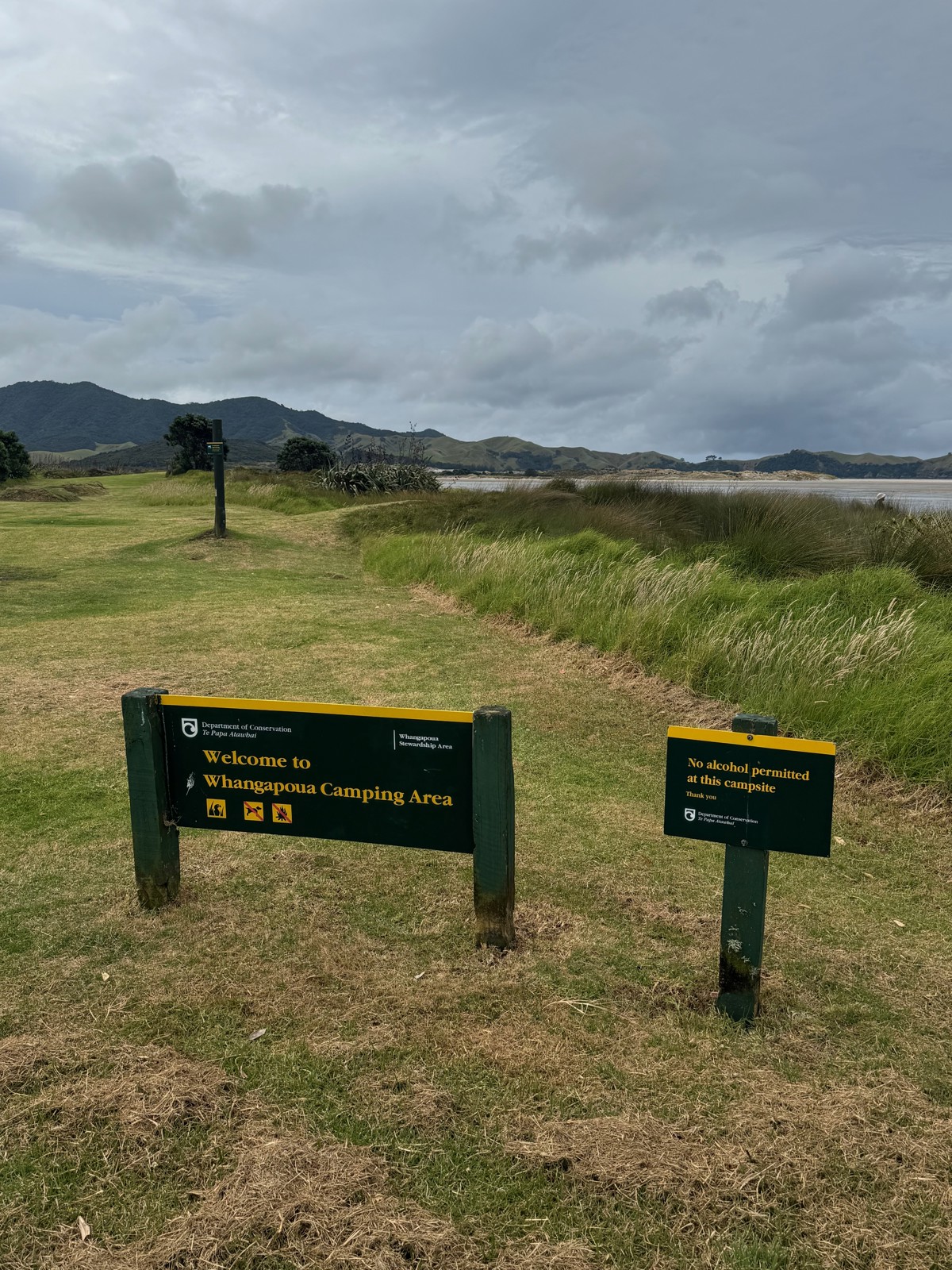 Whangapoua Campsite image 8