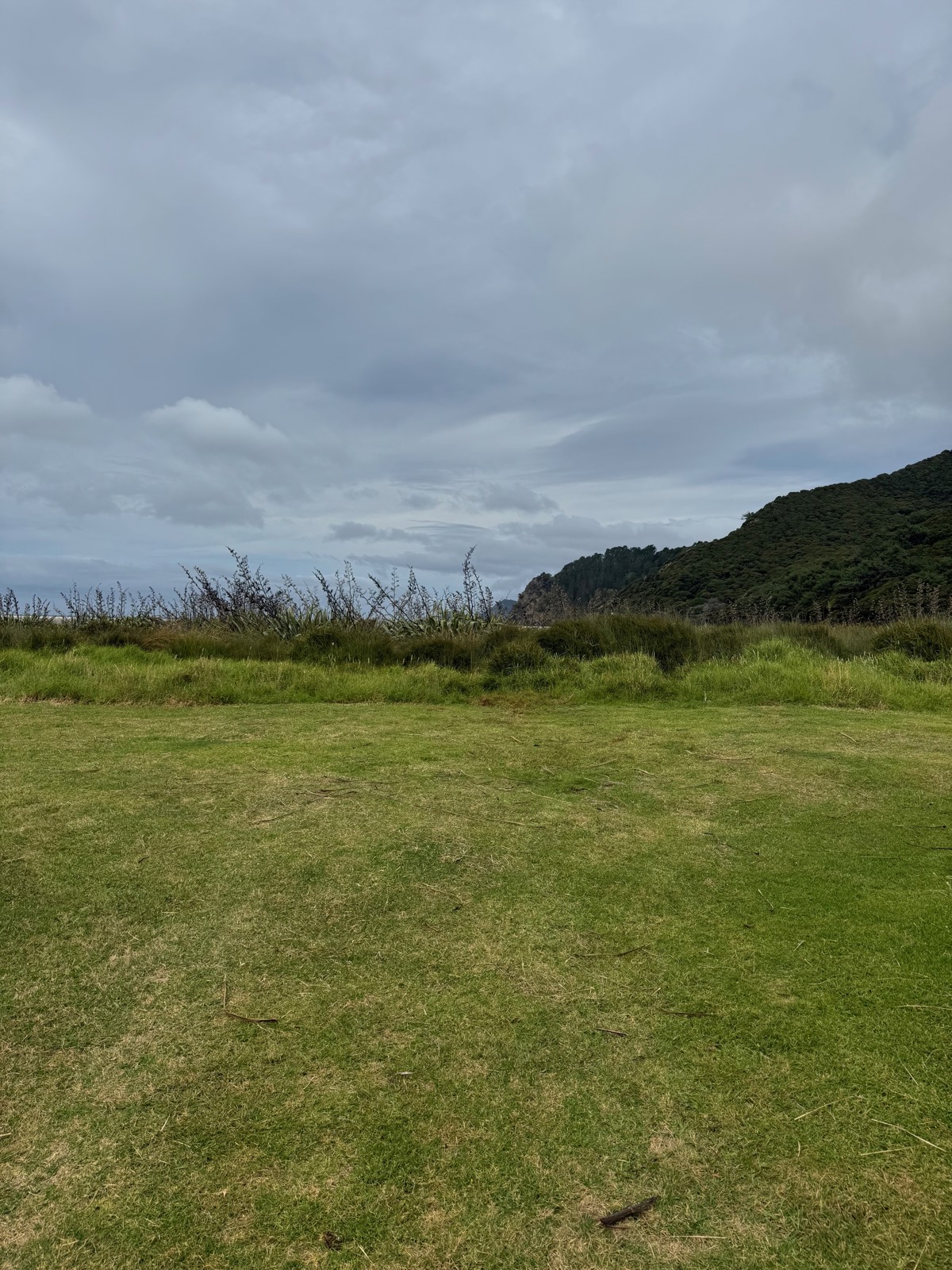 Whangapoua Campsite image 3