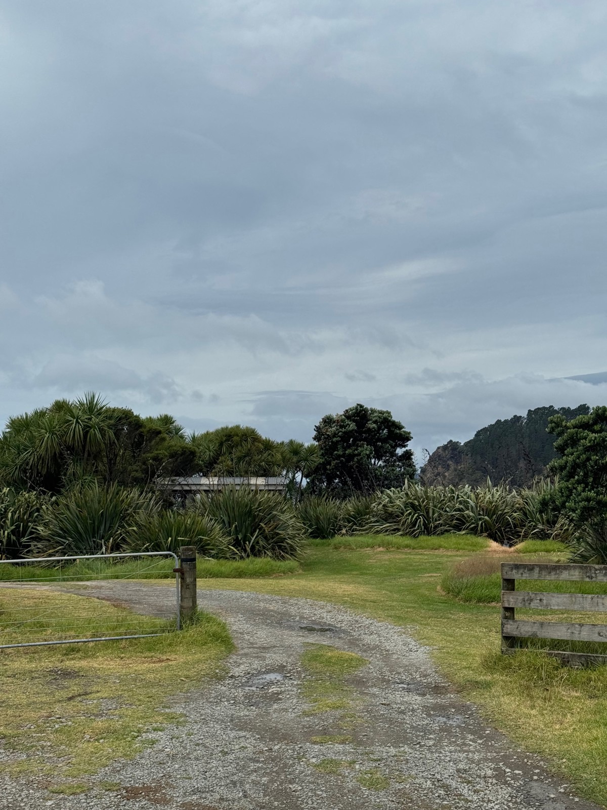 Whangapoua Campsite image 1