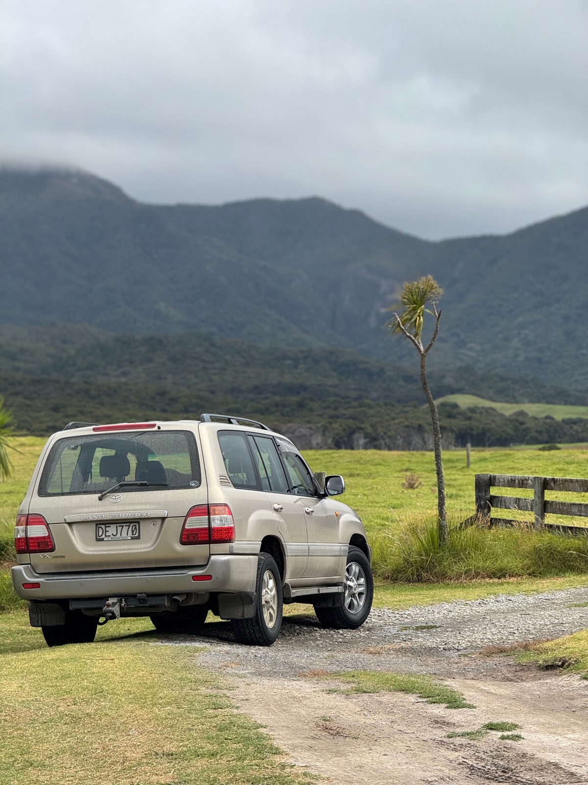 Whangapoua Campsite image 5