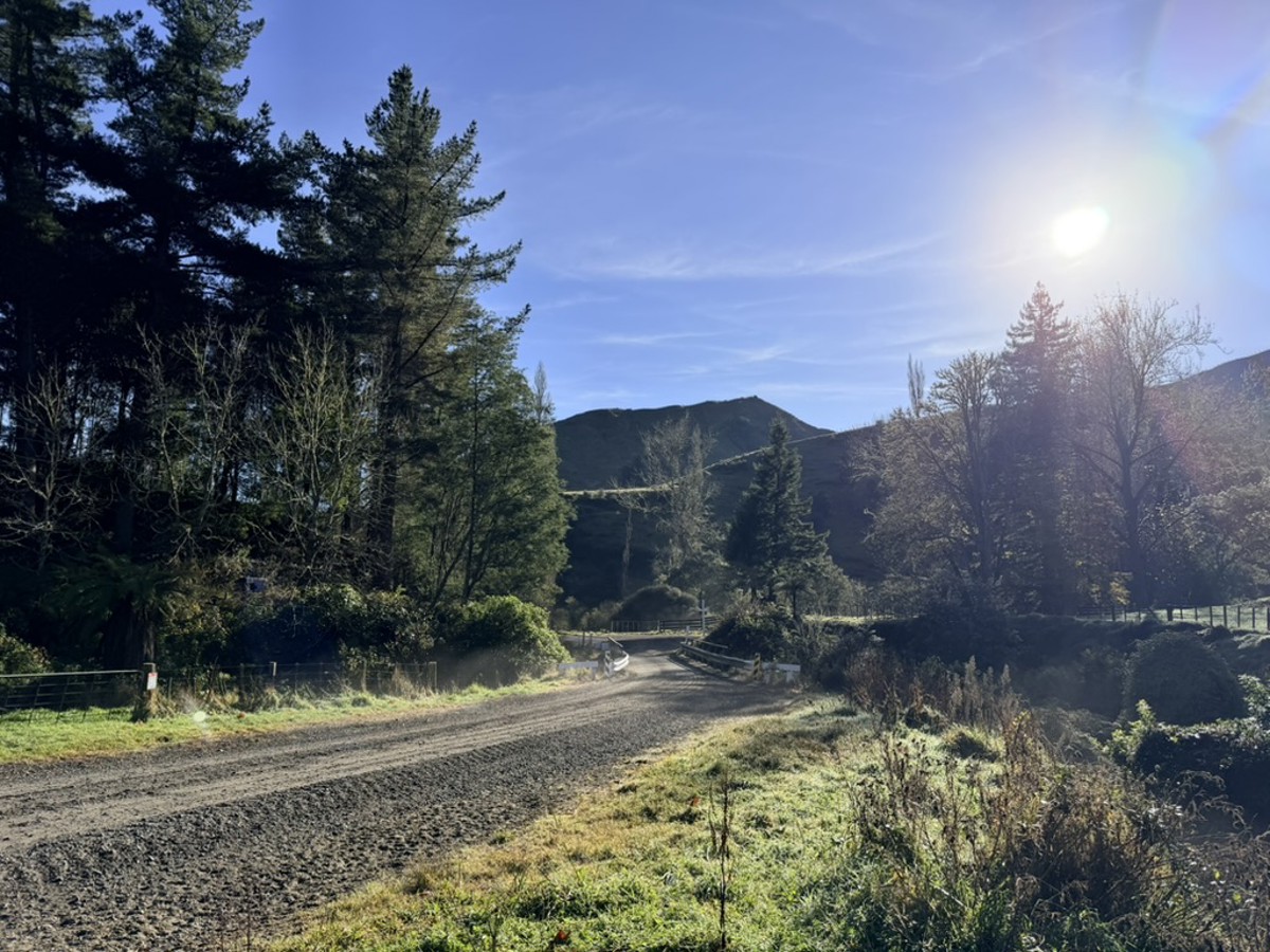 Ruatiti Road image 2