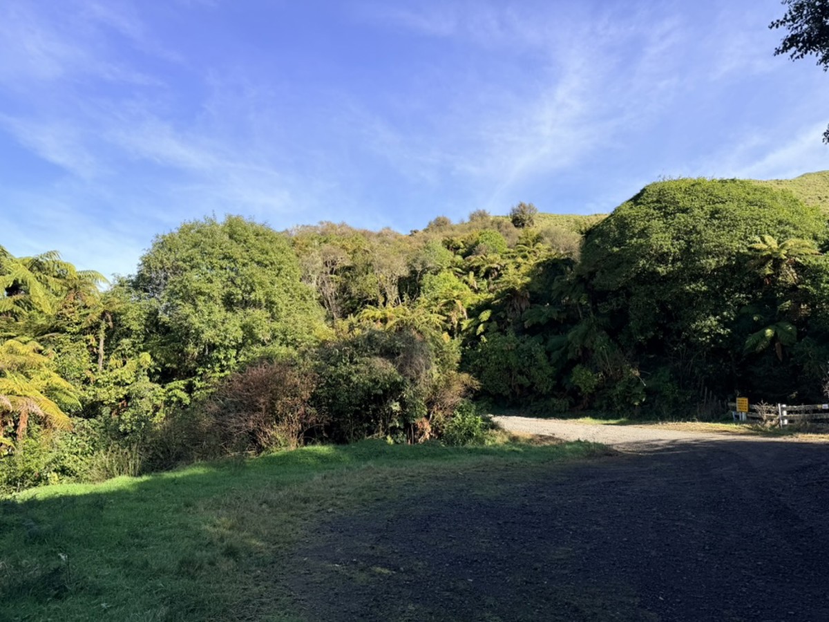Ruatiti Road image 1