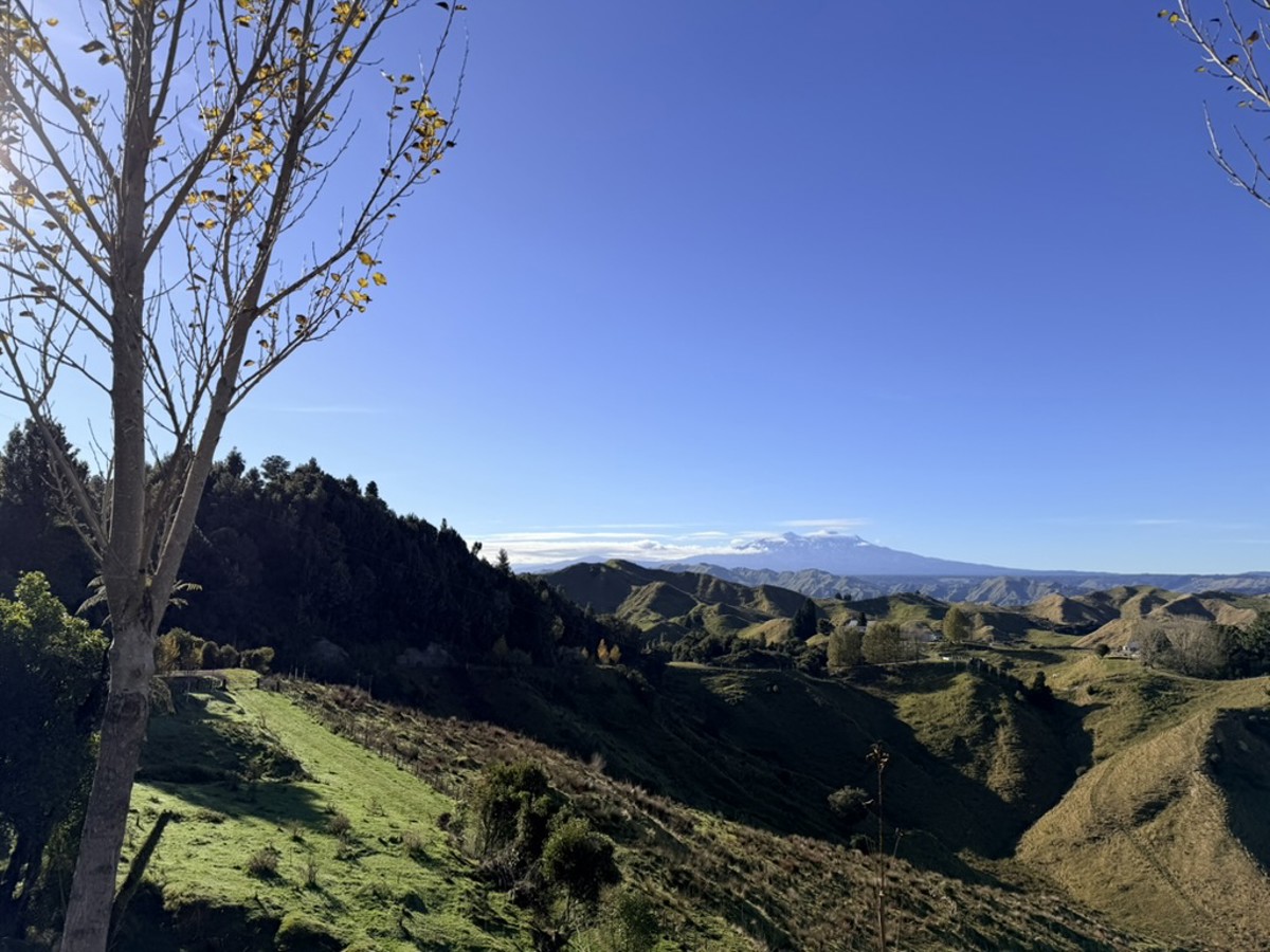 Murumuru Road image 2