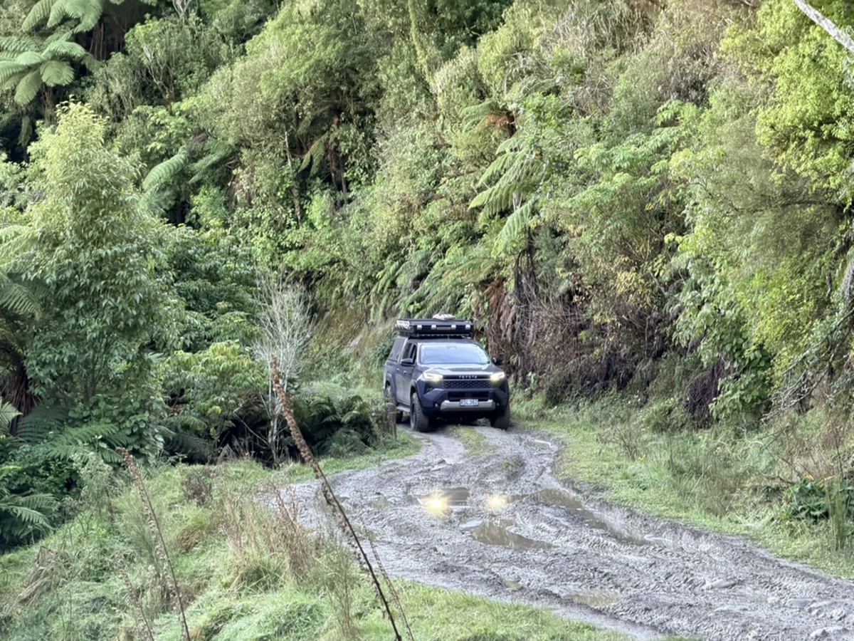Murumuru Track image 2