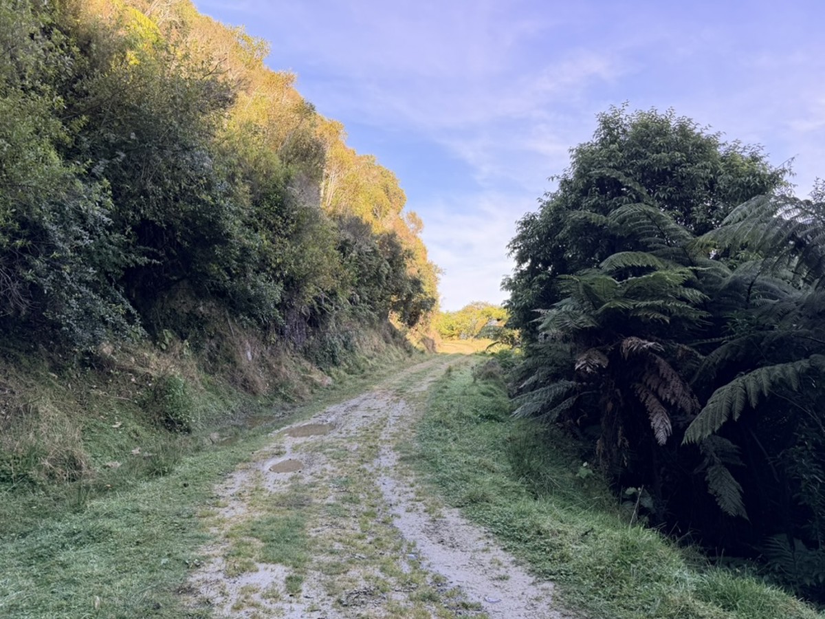 Murumuru Track image 3