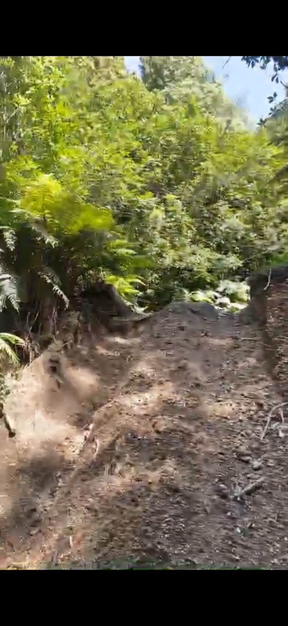 Side route image 4