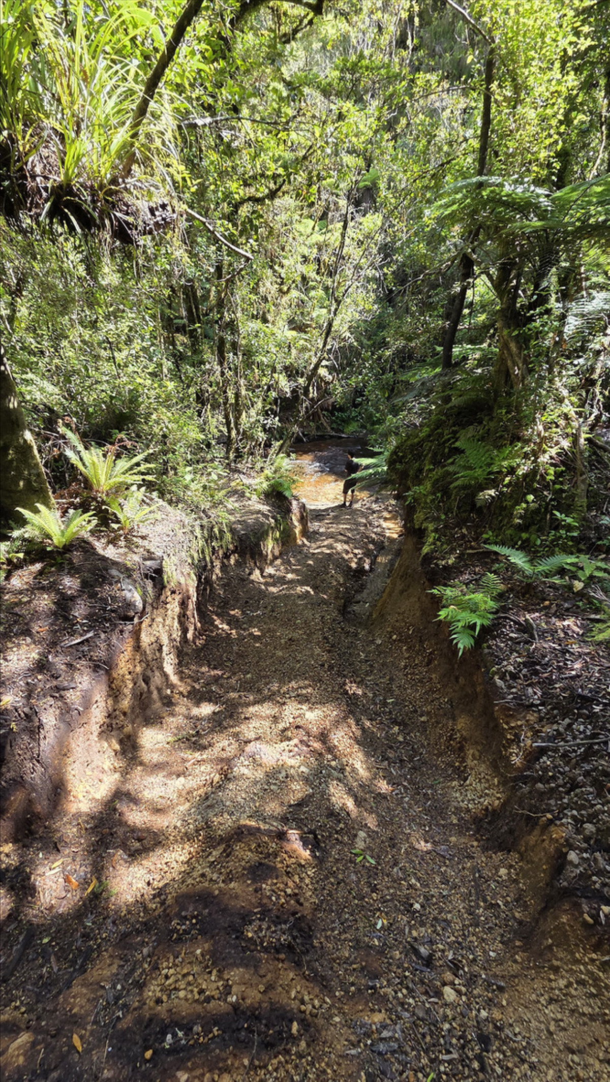 Side route image 3